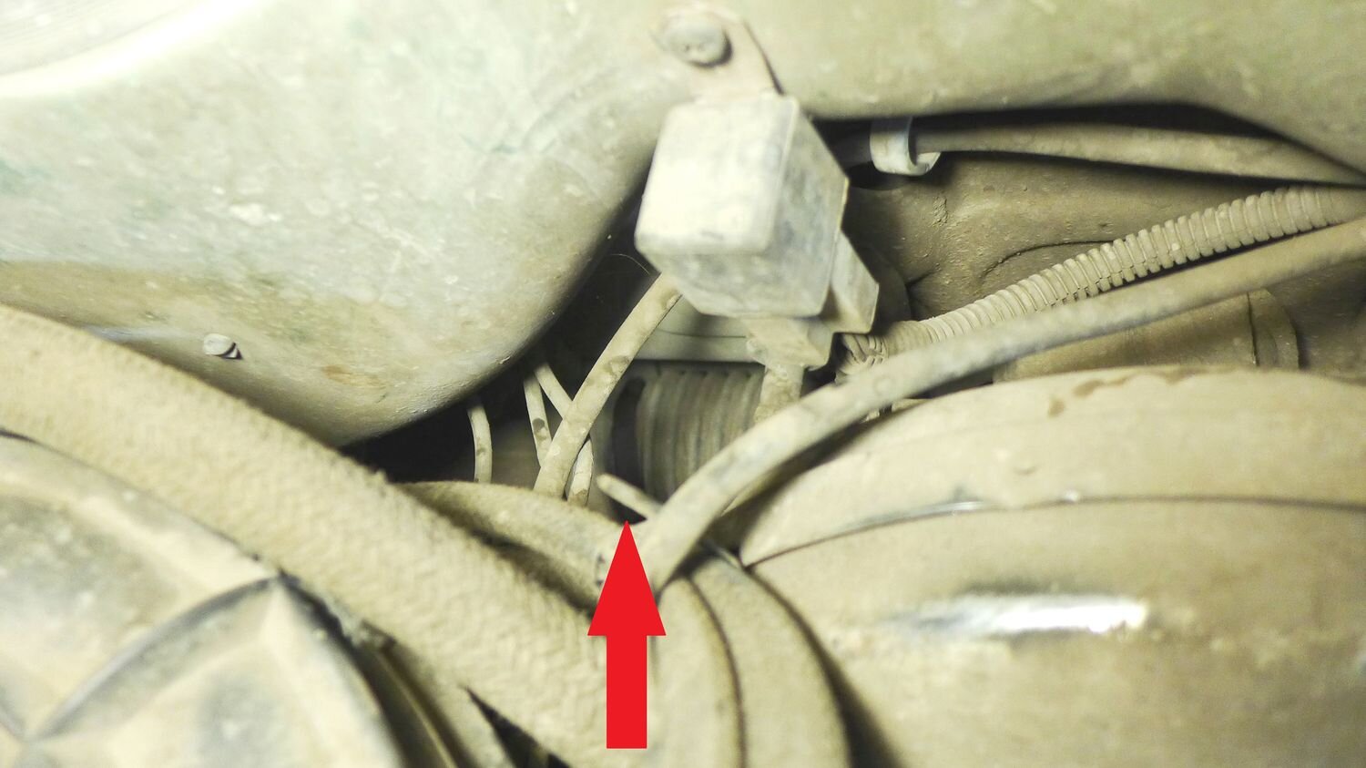 Какая ссылка у кракена