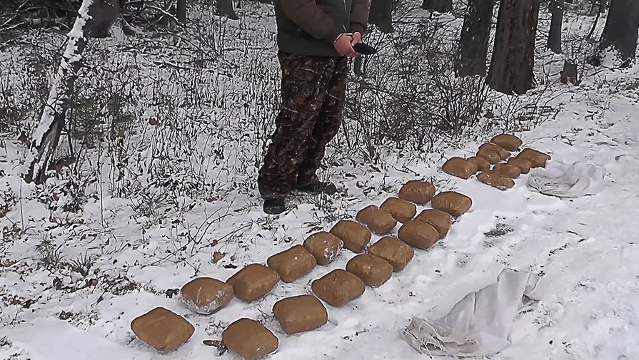 Модератор на кракене